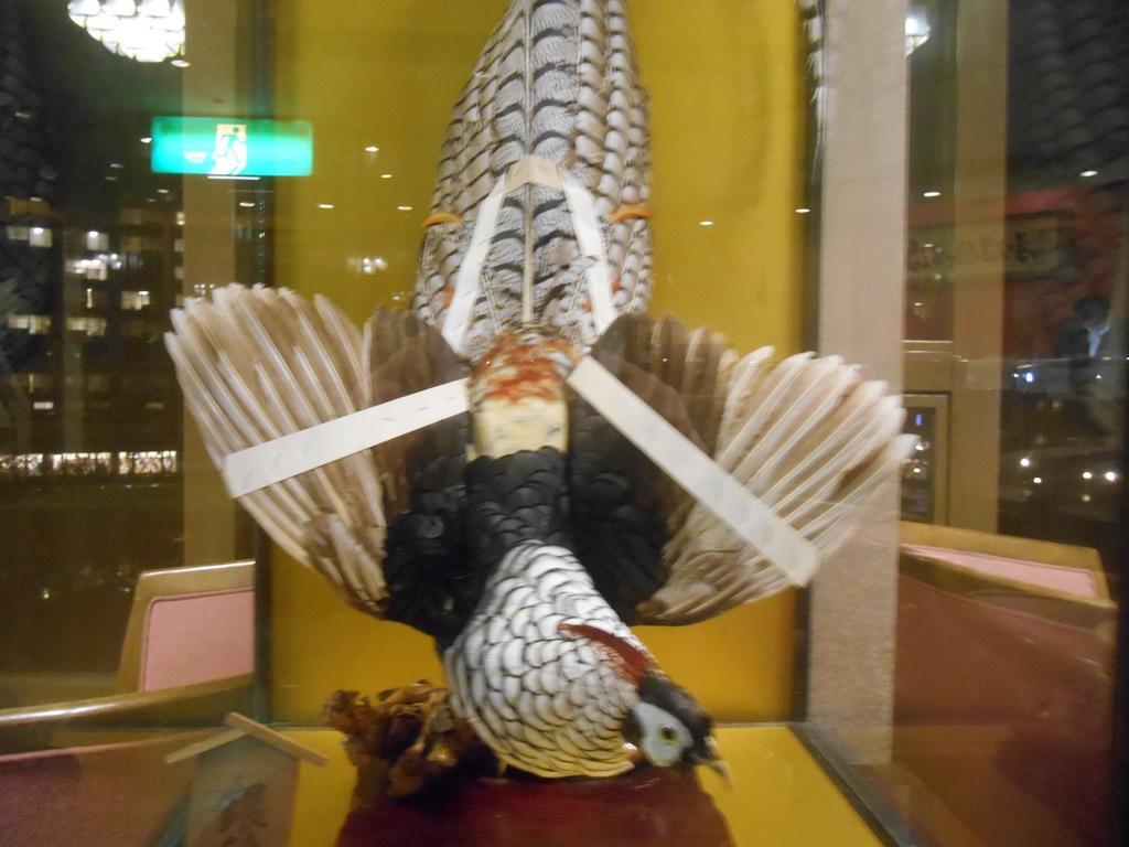 卡书柏福库玛苏酒店 日光 外观 照片